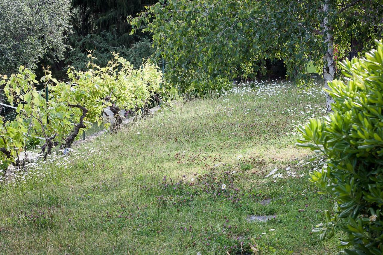Residence Lou Naouc Grasse Exterior foto